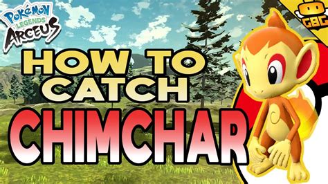 chimchar location legends.